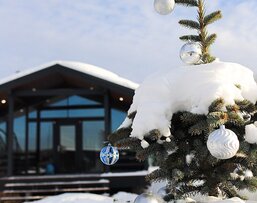 Домик в Икше