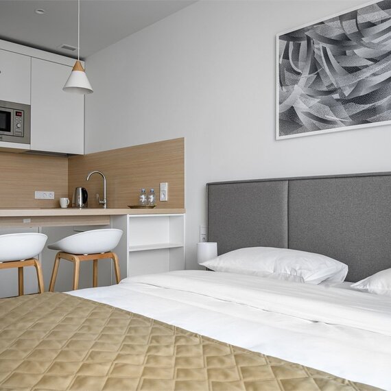 Стандарт с видом на Остров Мечты (Технопарк). Фото 5