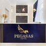Отель PEGASAS - Превью 5