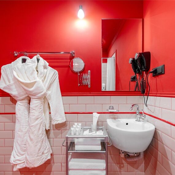 Номер с мансардным окном SKY LOFT. Фото 10