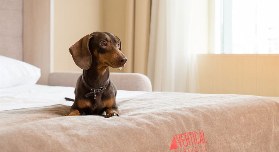 Апарт-отель Vertical Фрунзенская - Фото 7