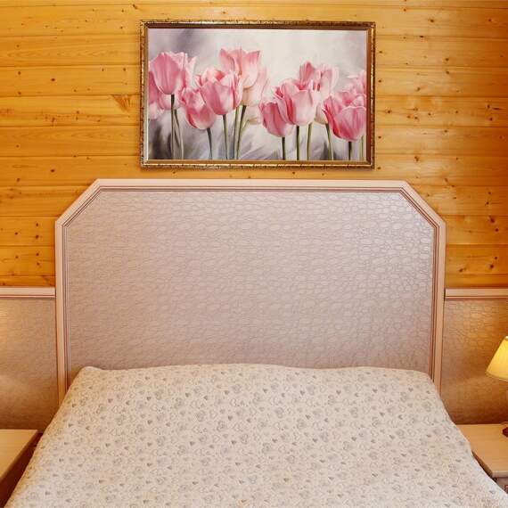 Двуспальный номер в Эко-Домике. Фото 22