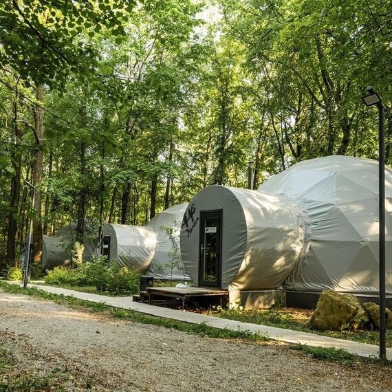 Геокупол лес. Фото 7