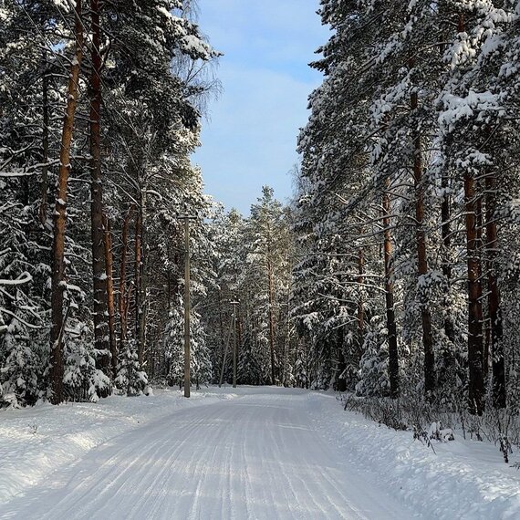 Дуплекс с баней на компанию до 6 гостей. Фото 56