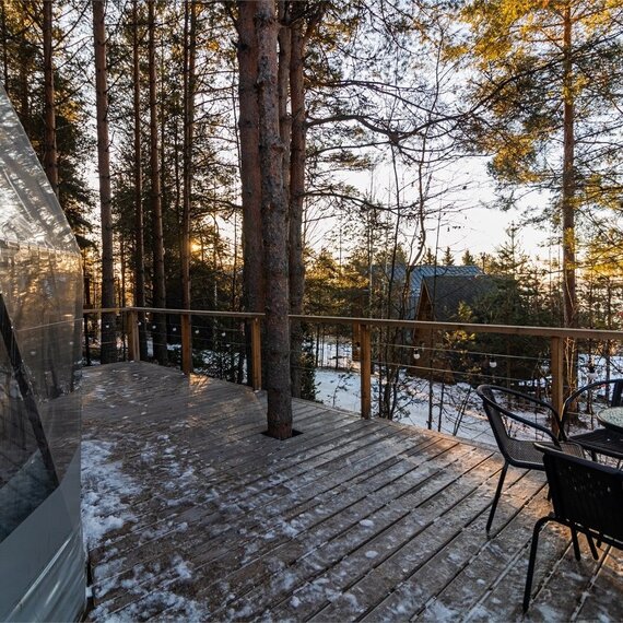 Купол «Карельский лес». Фото 43