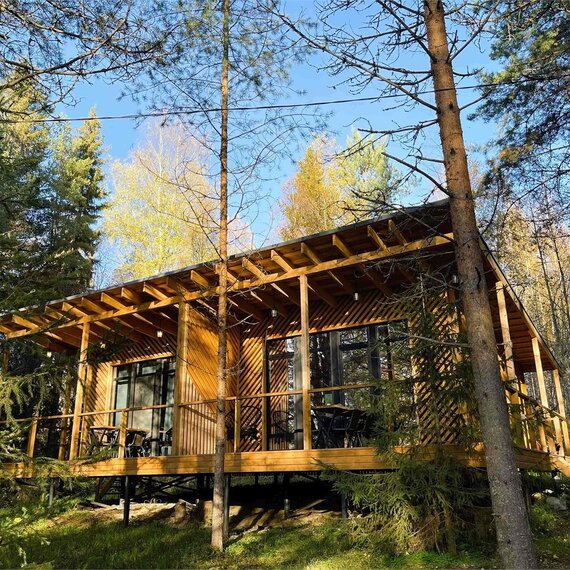 Номер «Березовая роща». Фото 26