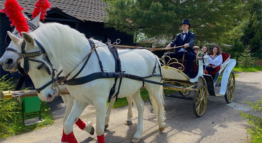 Парк-отель «VE art resort» - Фото 54