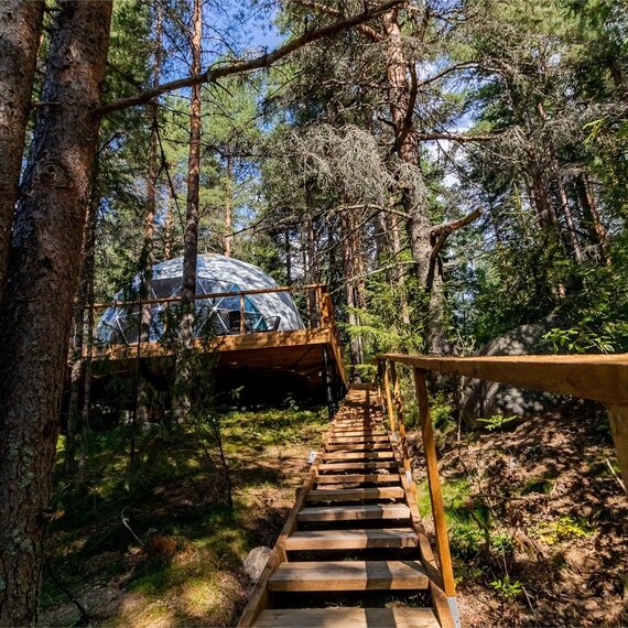 Купол «Петроглифы». Фото 16