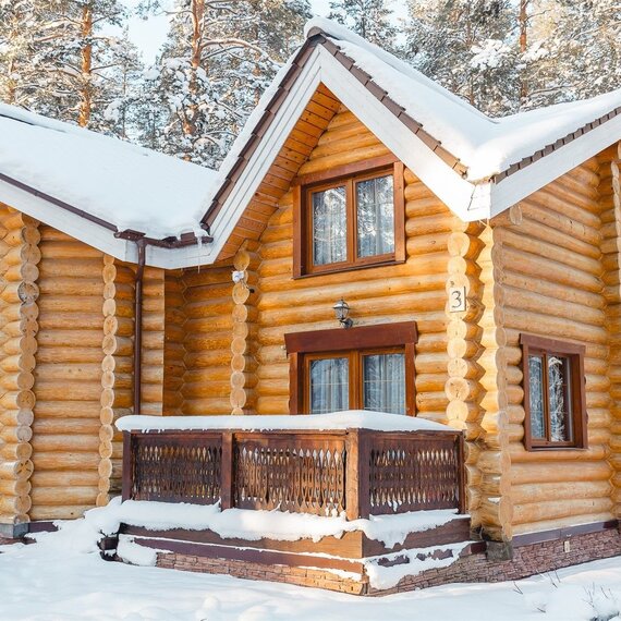 Клюква. Фото 2