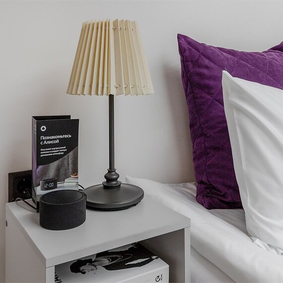 Номер с мансардным окном SKY LOFT. Фото 5