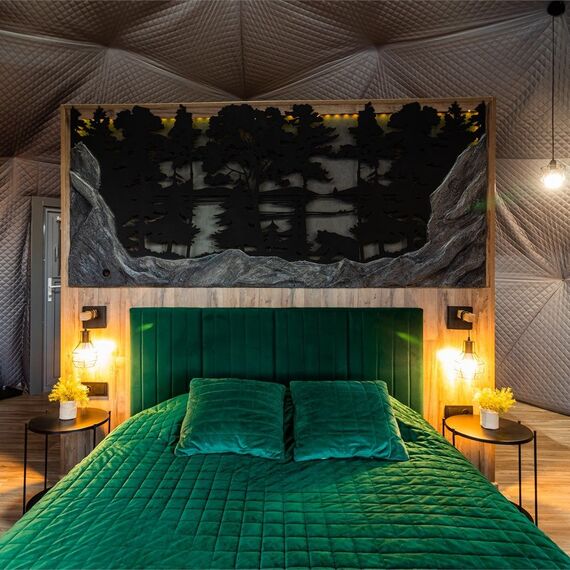 Купол «Карельский лес». Фото 31