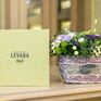 LEVADA - Превью 34