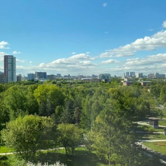 Супериор с видом на парк (Ботаника). Фото 2