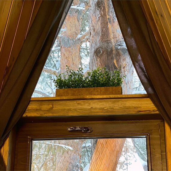 А-Фрейм «Лесной орех». Фото 60