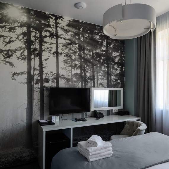 MIDDLE «FOREST» (dbl/twin). Фото 4