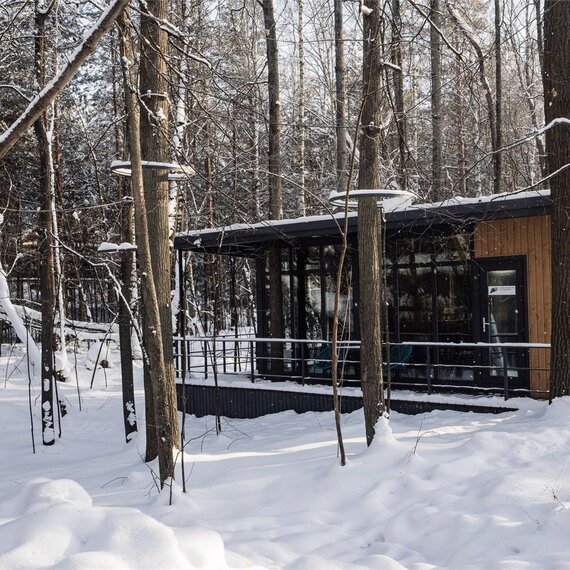 Бунгало в лесу СПА. Фото 7