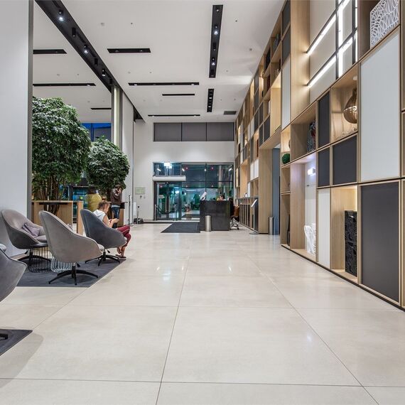 Студия (Ботаника). Фото 14