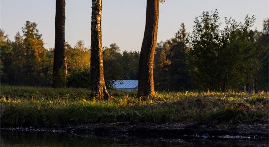 Golden Hotel - Фото 16