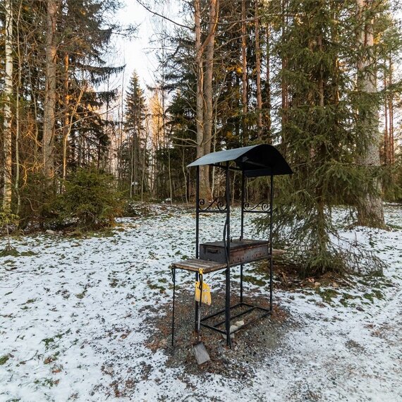 Номер «Березовая роща». Фото 46