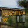  Золото Алтая (Белокуриха) - Превью 2