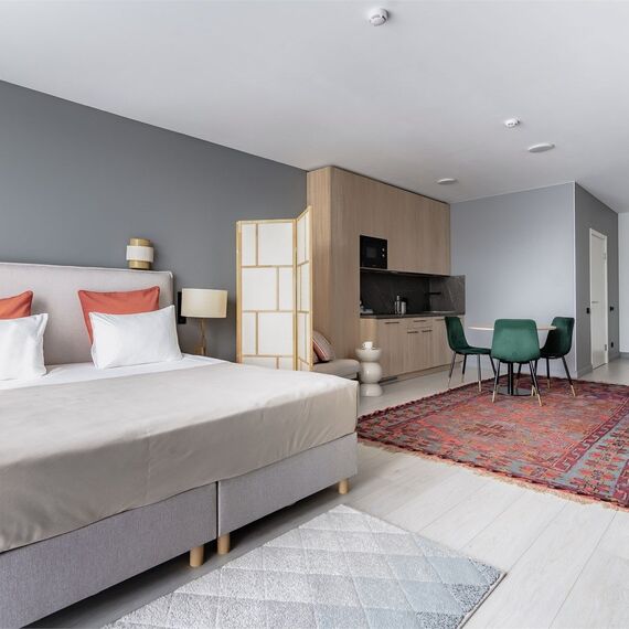 DELUXE 1. Фото 19