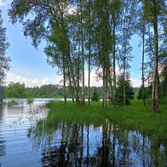 Дома с видом на лес: №7/8. Фото 16