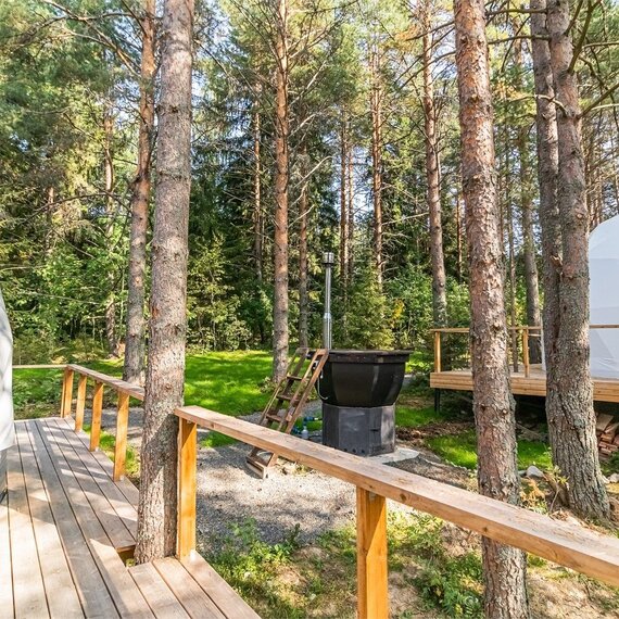 Купол «Карельский лес». Фото 29