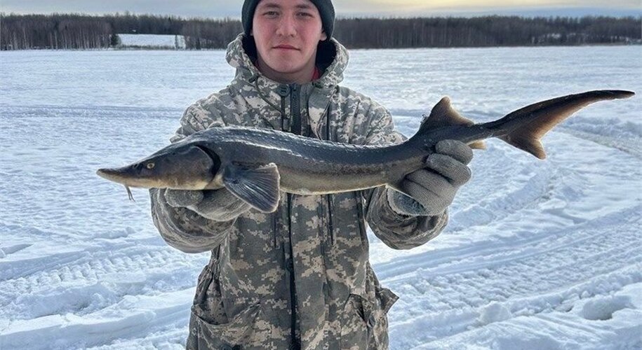 Медвежья гора - Фото 54