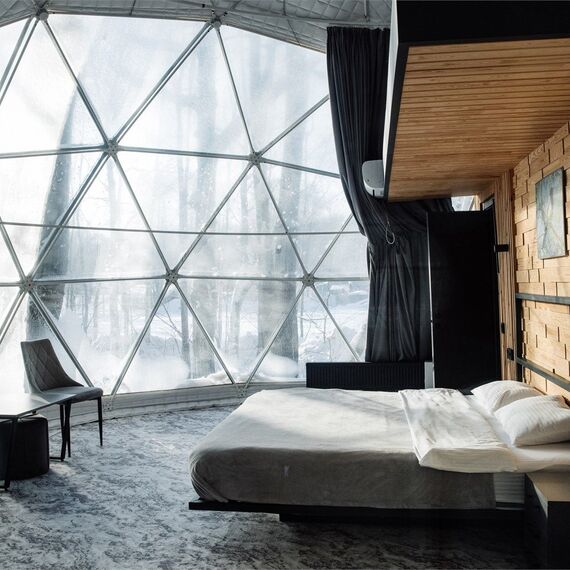 Геокупол лес. Фото 12