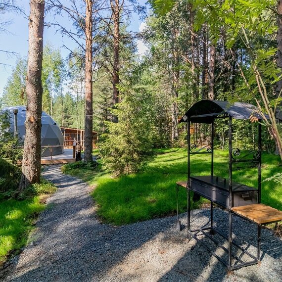 Купол «Петроглифы». Фото 18