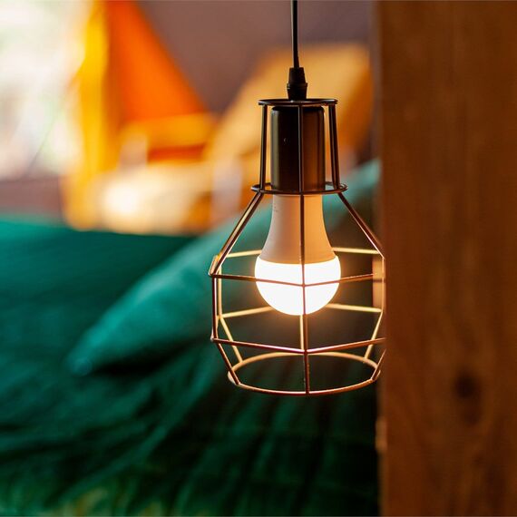 Купол «Карельский лес». Фото 9