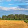  Лукино-Парк - Превью 16