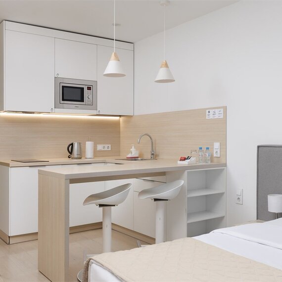 Стандарт с одной большой кроватью (Ботаника). Фото 21