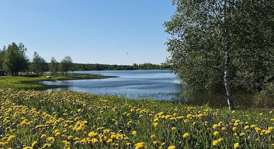Ферма моей мамы - Фото 7