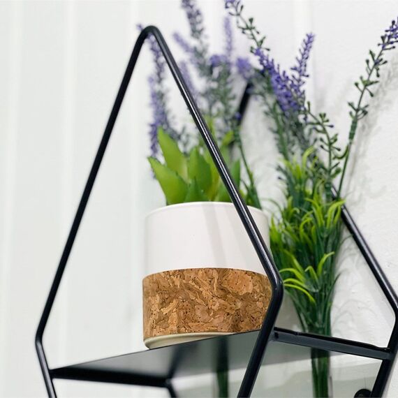 Номер «Сосновый бор». Фото 43