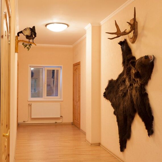 Стандарт в гостевом доме. Фото 6