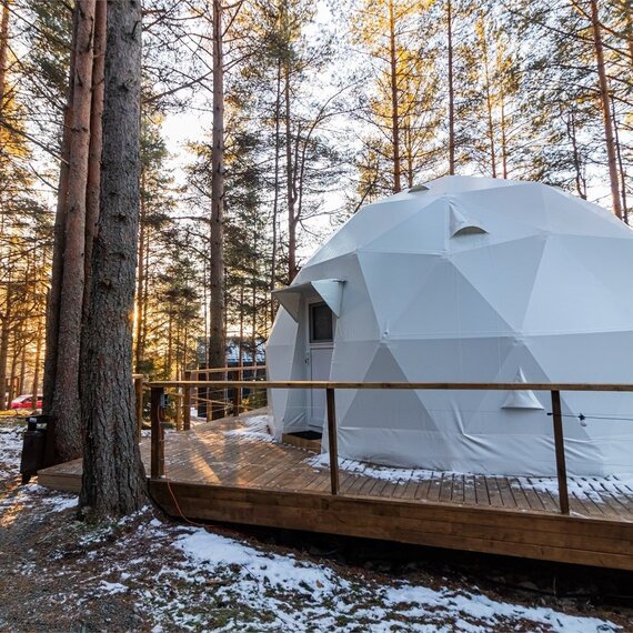 Купол «Петроглифы». Фото 56