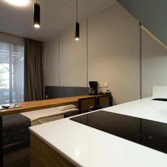 Лебяжье комната с купелью 1-ый этаж. Фото 21