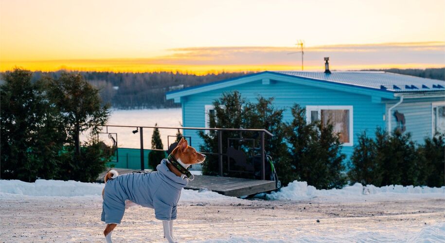 Медвежья гора - Фото 33