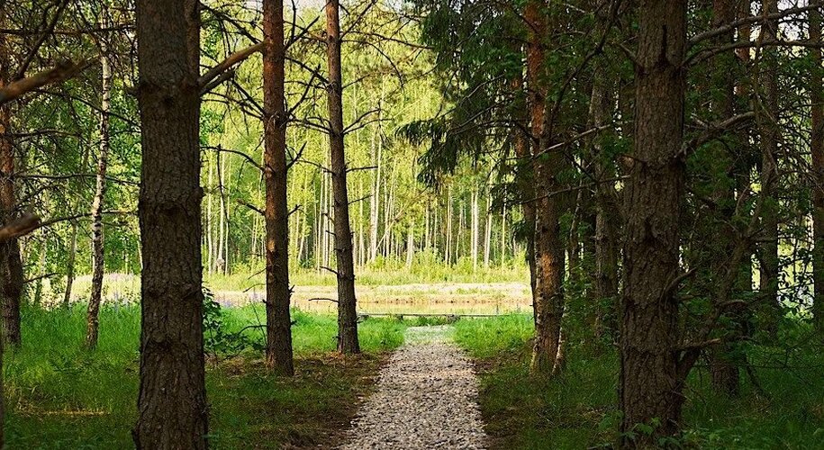  Домик в соснах - Фото 18