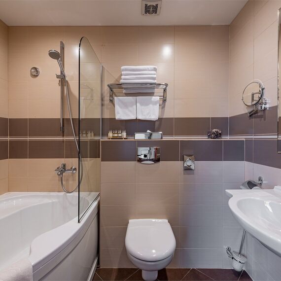 Стандарт Плюс мансардный с двуспальной кроватью. Фото 6