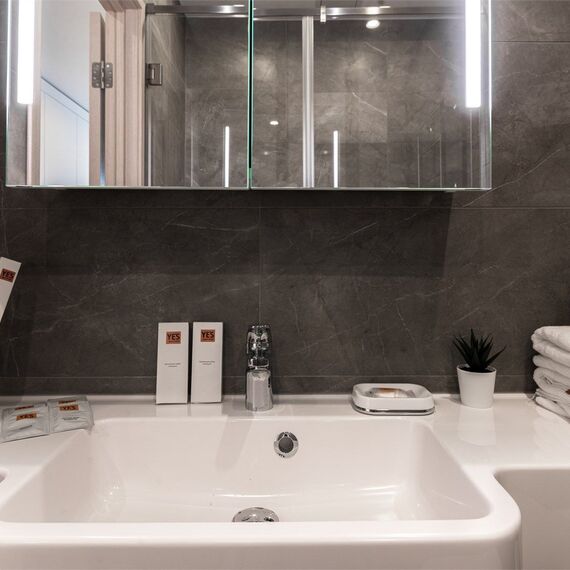 Стандарт с раздельными кроватями (Ботаника). Фото 3