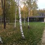 Ферма моей мамы - Превью 6