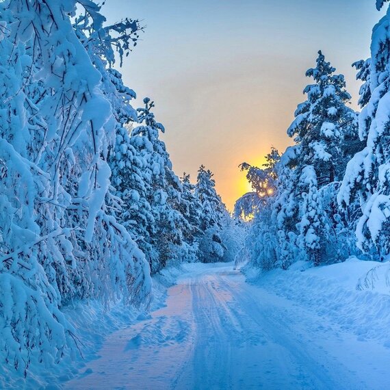 Барнхаус «Скандинавия». Фото 53