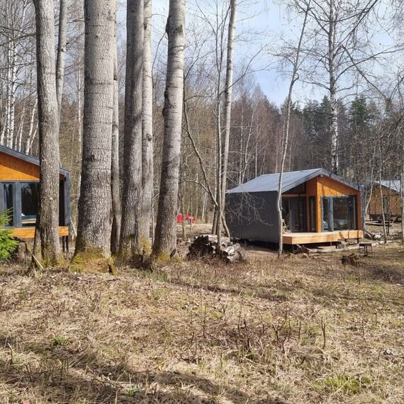 Дома на берегу Вуоксы: Ежевика/Черника. Фото 11