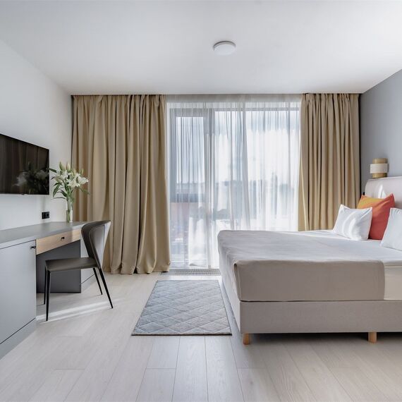 DELUXE 1. Фото 3