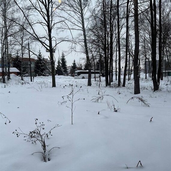 Номер Первой Категории (Особняк). Фото 6