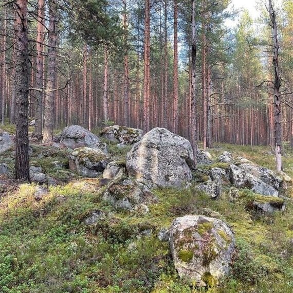 Вилла в Карелии. Фото 6