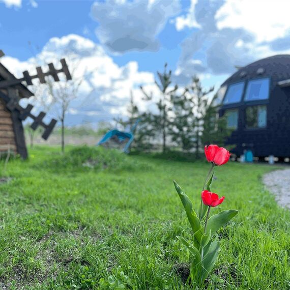 Купольный дом 1 (Коробицыно). Фото 3