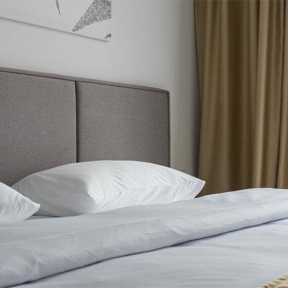 Полулюкс двухкомнатный номер (Ботаника). Фото 8